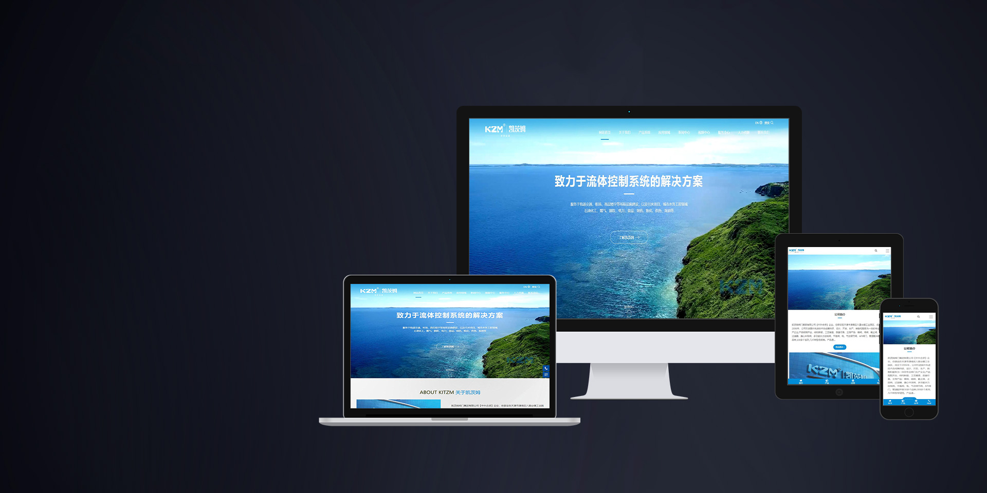 品牌网站建设